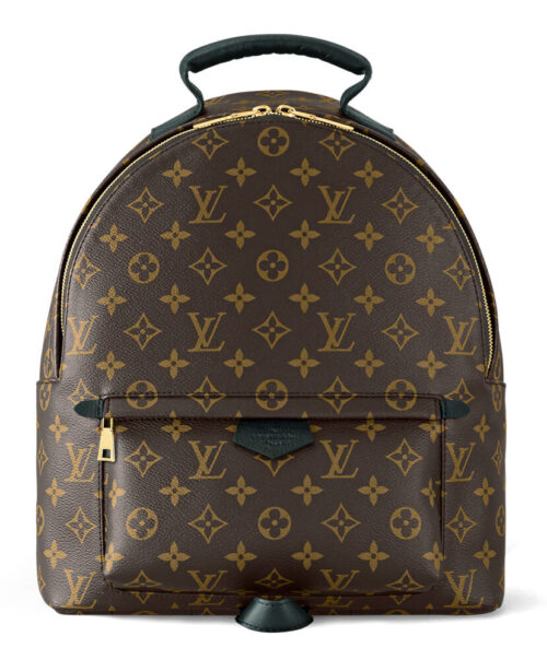 Louis Vuitton Palm Springs MM M44874 Brown